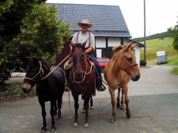 Klicken zum Vergrern